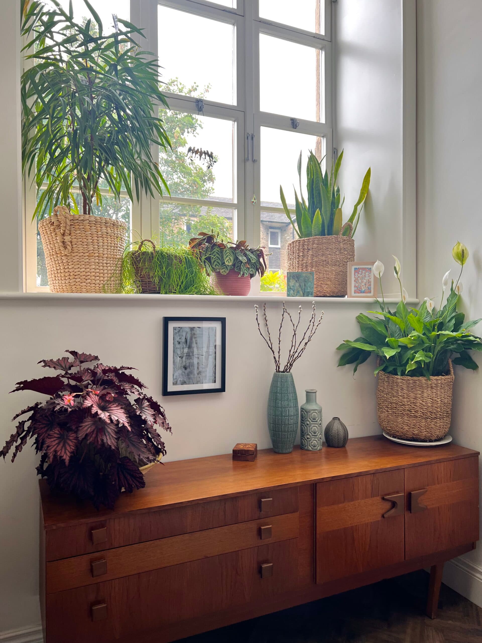 Pam Hardisty - St Stephens Place, Skipton - Homewoner Story
