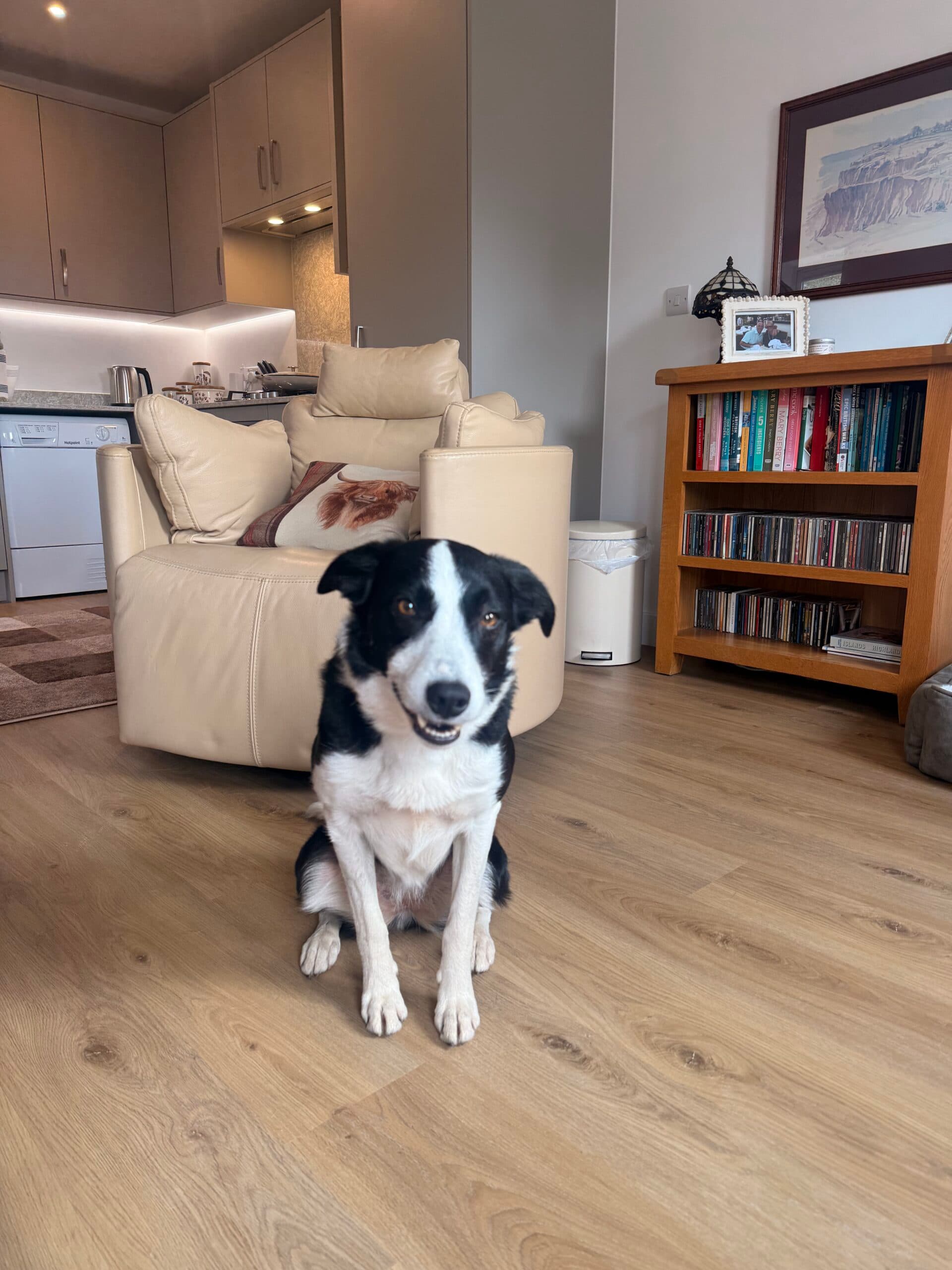Dave Bertrum - Plot 33 The Dairy - Pendle Farm, Worsthorne - Floss the dog