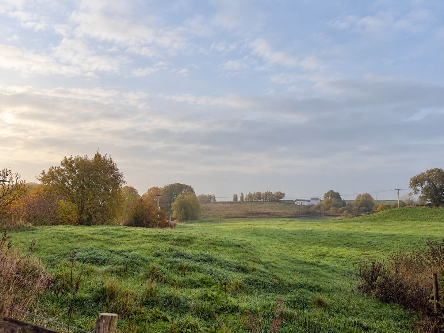 Open green fields at Longvale Heights in Long Lee, surrounded by mature trees, hedgerows and rolling countryside beneath a softly clouded autumn sky.