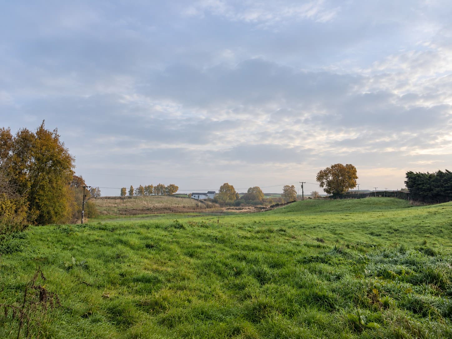 Longvale Heights development sign by Verity & Co Homes, positioned beside open green countryside in Long Lee, with mature trees and autumnal scenery beyond.